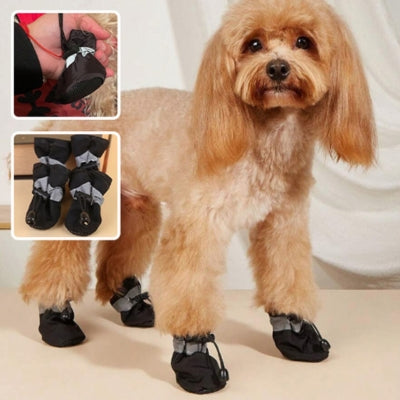 bottes chien noir Caniche grandes oreilles