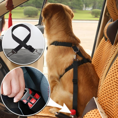 ceinture de sécurité pour chien noir Golden Retriever