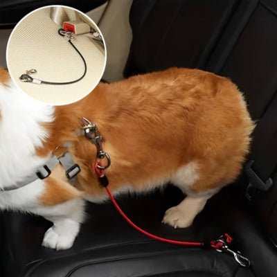 ceinture-de-securite-pour-chien-securiroute-rouge