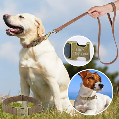 collier chien personnalisé laisse marron Labrador Jack Russel