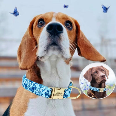 collier chien personnalisé papillons Beagle Labrador bleus
