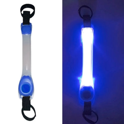 collier lumineux pour chien bleu éteint allumé