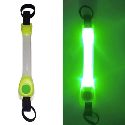 collier lumineux pour chien vert éteint allumé