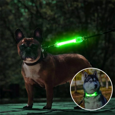 collier lumineux pour chien vert Bouledogue français Husky