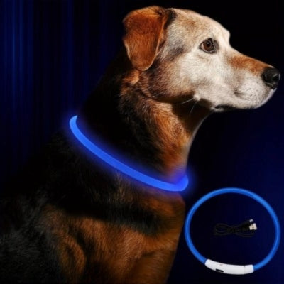 collier lumineux pour chien bleu avec chargeur