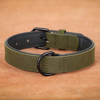 collier pour chien cuir vert foncé