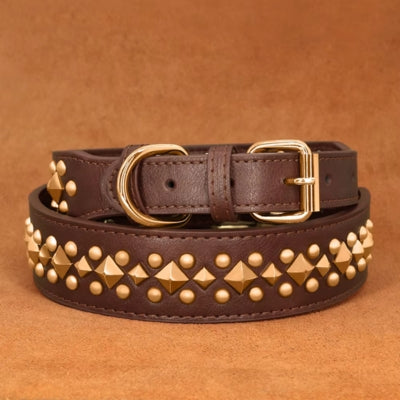 collier pour chien cuir rivets marron