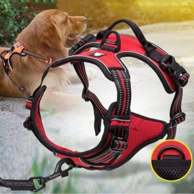 harnais anti traction robuste et confortable