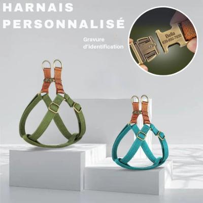 harnais-chien-personnalise-jazz-gravure