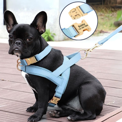 harnais-chien-personnalise-maya-bleu