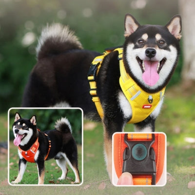 harnais pour chien confortable Shiba Inu husky