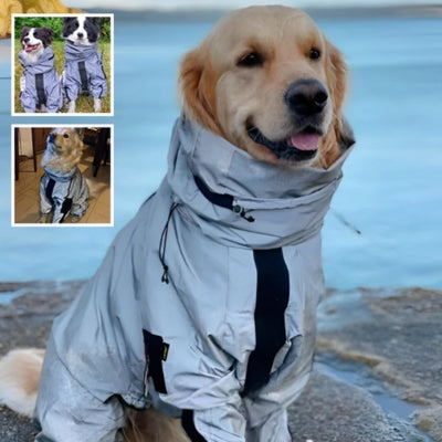 imperméable chien confort Golden retriever