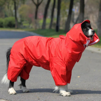 imperméable pour chien rouge couverture complète Border collie