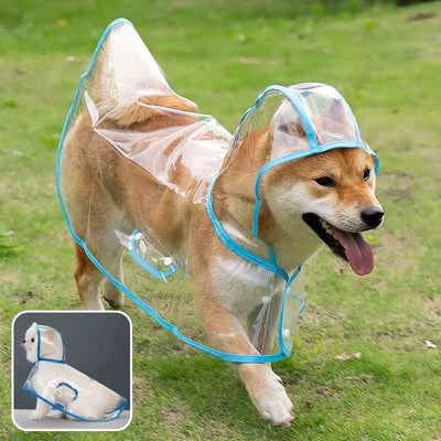 imperméable chien transparent bleu Shiba Inu