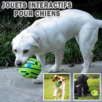 jouet-pour-chien-woofwave-interactif