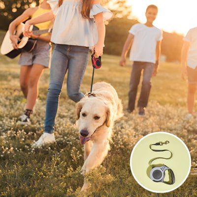 laisse chien rétractable liberté Golden Retriever