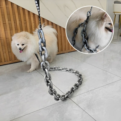 laisse chien chaîne argent Loulou de Poméranie