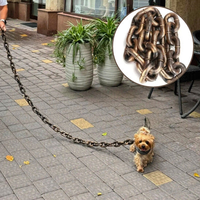 laisse chien chaîne cuivre Yorkshire terrier