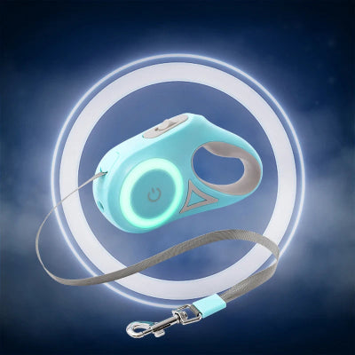 laisse chien retractable lumineux bleu