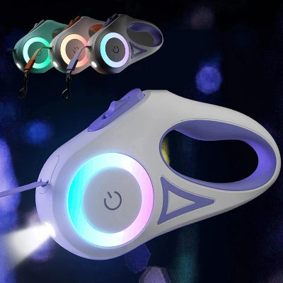 laisse chien retractable lumineux violet