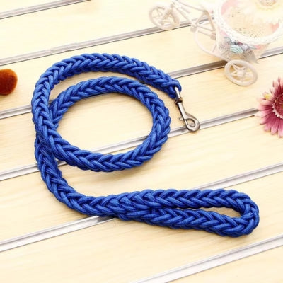 laisse chien résistante bleu