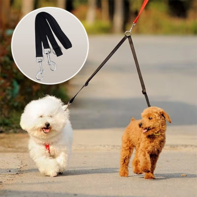 laisse double pour chien coupleur Bichon frisé Caniche Toy