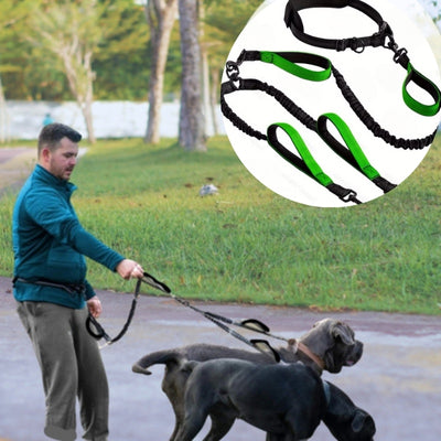 laisse main libre chien vert double chiens