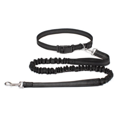 laisse main libre chien noir