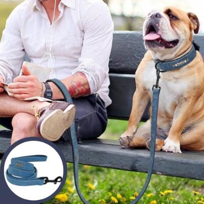 laisse pour chien cuir bleu Olde English Bulldogge