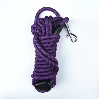 longe chien mauve