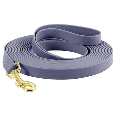 longe pour chien gris mauve