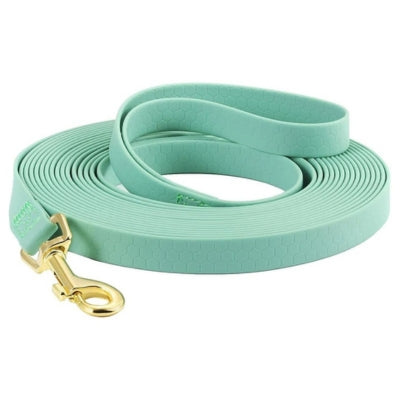 longe pour chien turquoise longue