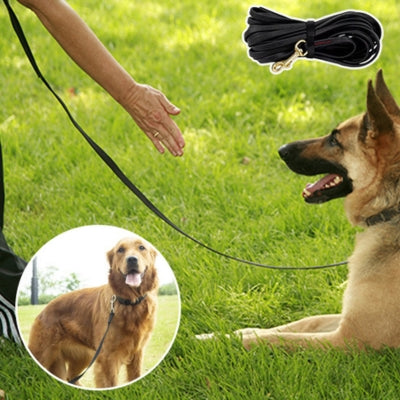longe pour chien noir éducation