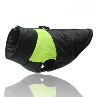 manteau pour chien vert