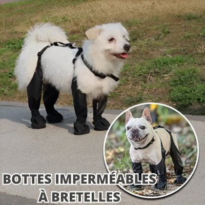 chaussette-pour-chien-bottes