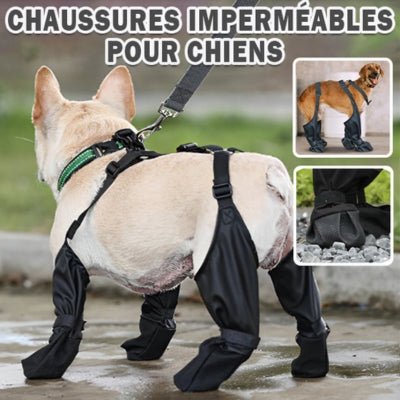 chaussette-pour-chien-imperméable