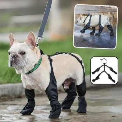 chaussette-pour-chien-pattes