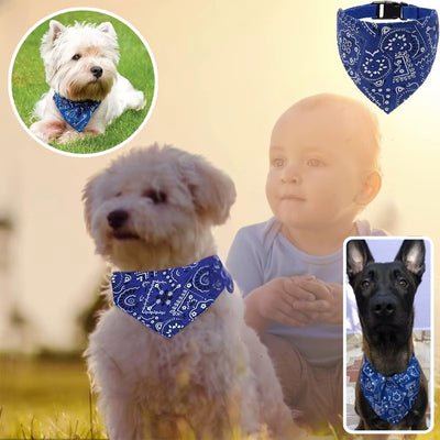 collier-chien-bandana-bleu