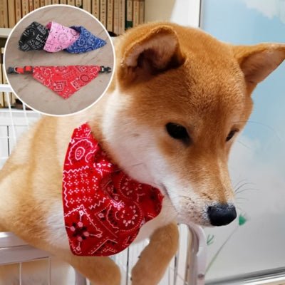 collier-chien-bandana-rouge