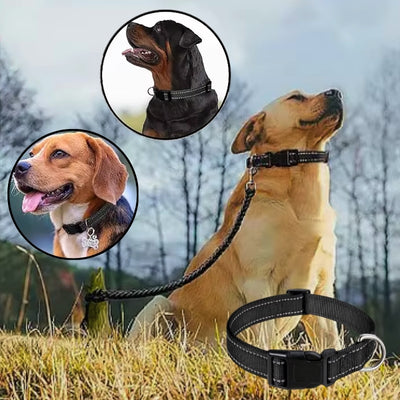 collier-chien-flexifit-noir