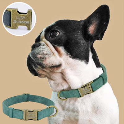 Bouledogue français collier chien personnalisé vert