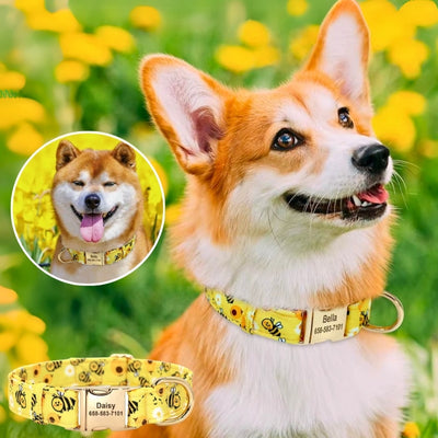 collier-chien-personnalisé-idnature-jaune