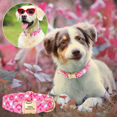 collier-chien-personnalisé-idnature-rose