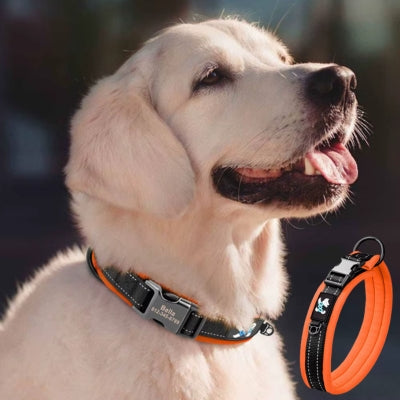 collier-chien-personnalisé-idnylon-orange