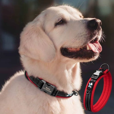 collier-chien-personnalisé-idnylon-rouge