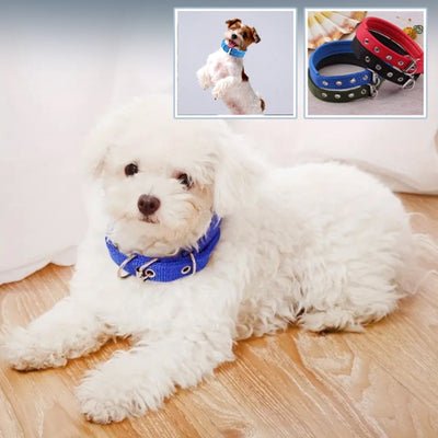 collier-chien-tuff-bleu