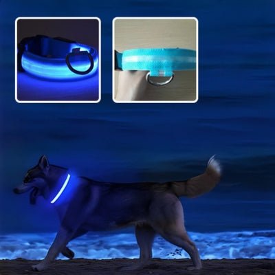 collier-lumineux-pour-chien-lumi-bleu