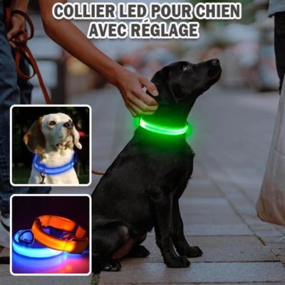 collier-lumineux-pour-chien-lumi-réglage