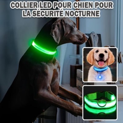 collier-lumineux-pour-chien-lumi-vert