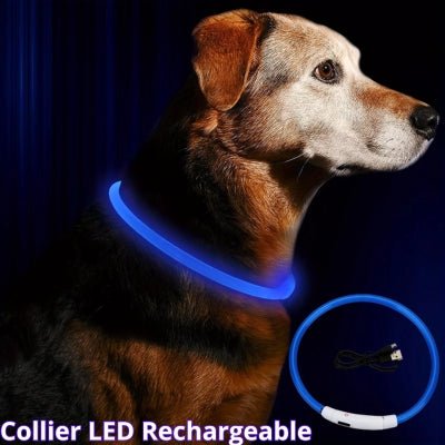 collier-lumineux-pour-chien-secu-bleu